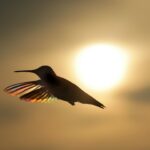 L’envolée continue du cours de l’or : faut-il s’en inquiéter ou en profiter ?