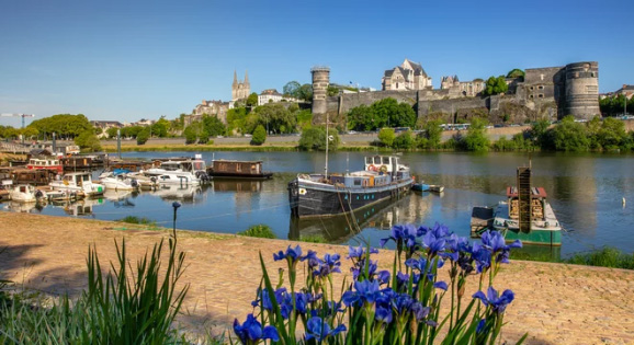 Chateau d'Angers